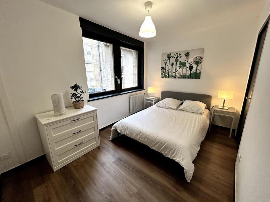 Le Puy En Velay - Appartement Grand Confort 외부 사진