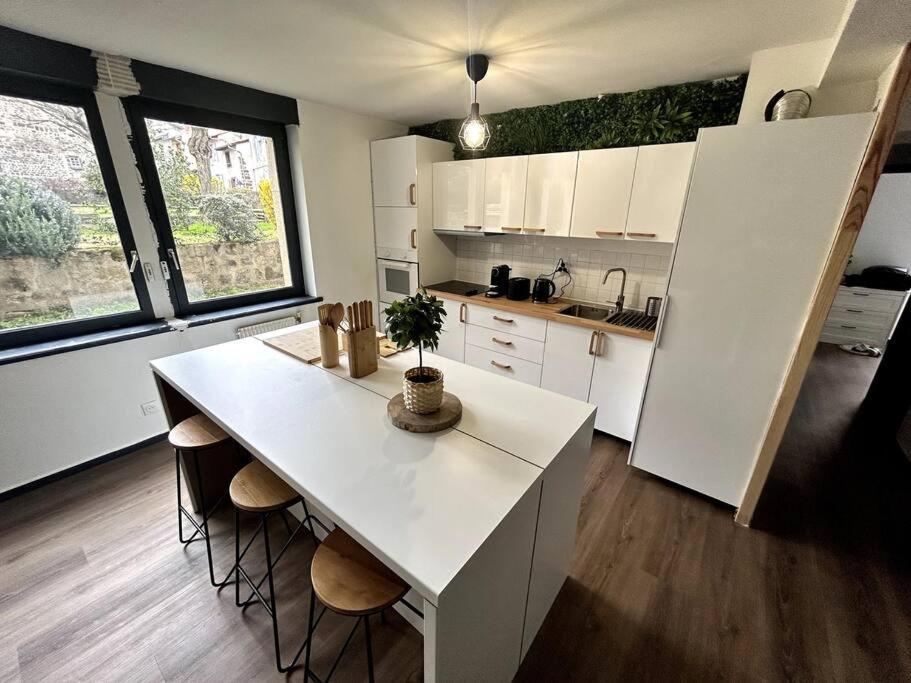 Le Puy En Velay - Appartement Grand Confort 외부 사진